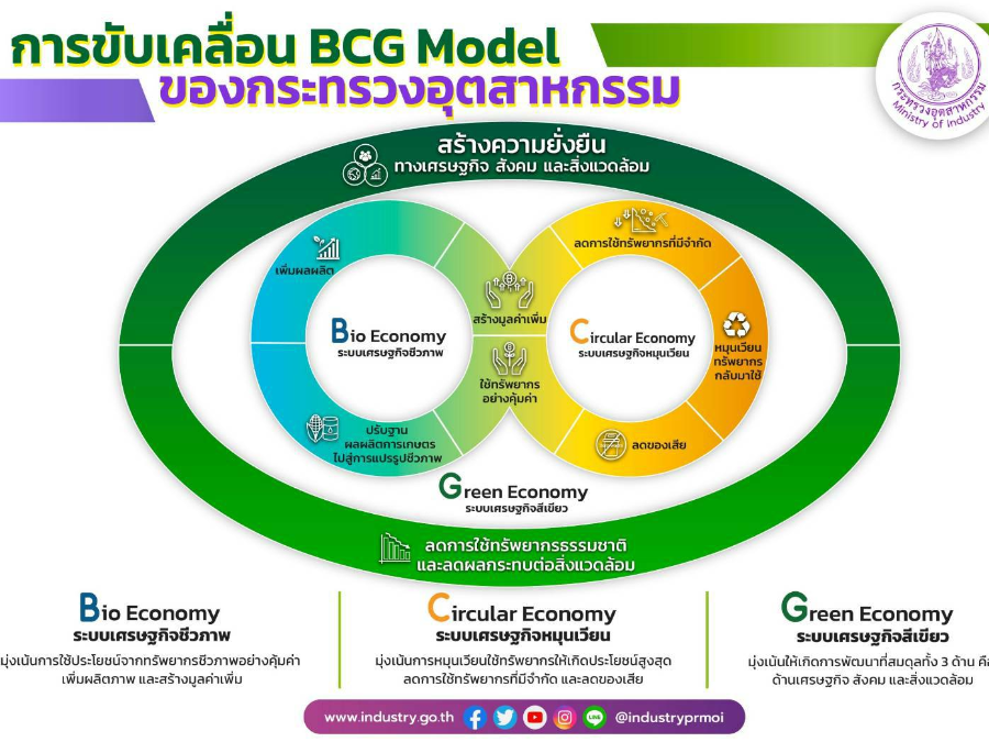 BCG Model